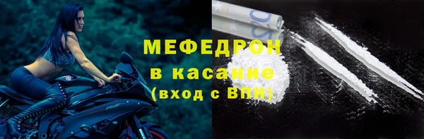 индика Сясьстрой