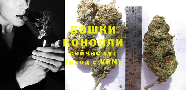 прущий лед Белокуриха