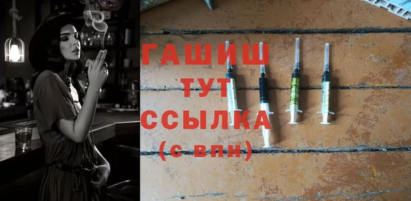 индика Сясьстрой