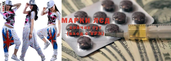 индика Сясьстрой